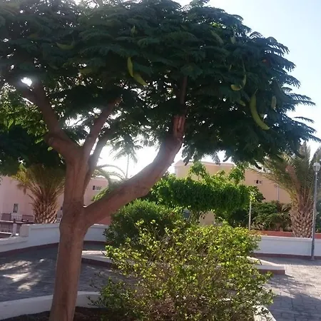 Сasa de vacaciones Dream House