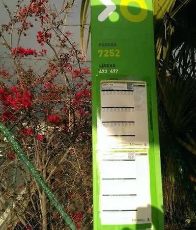 Ferienhaus Dream House