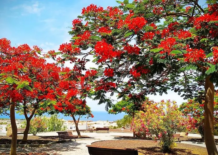 Dream House * 卡亚俄萨尔瓦赫